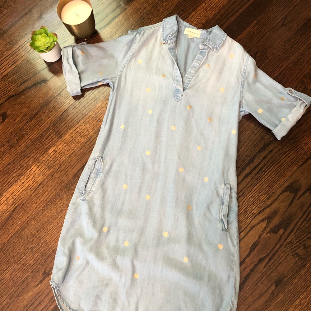 Anthropologie Cloth and Stone Gold Foil Dress